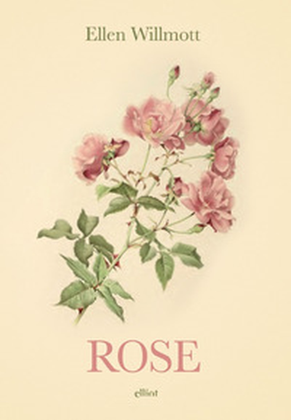 Rose - Librerie.coop Rose - Librerie.coop