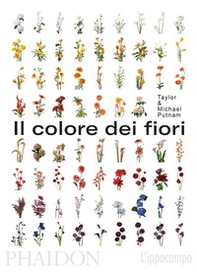 Il colore dei fiori - Librerie.coop