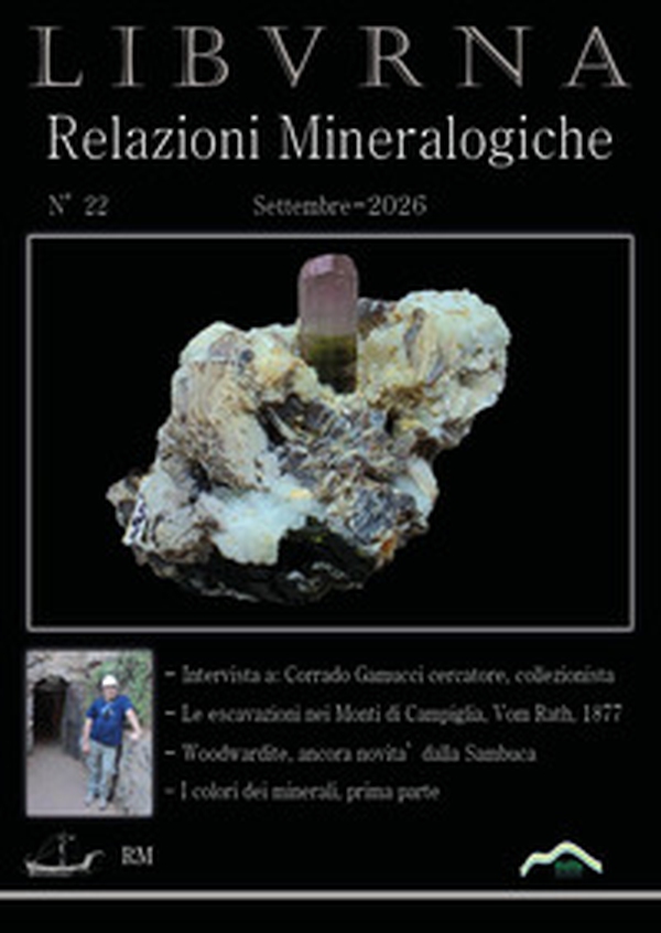 Relazioni mineralogiche. Libvrna - Vol. 22 - Librerie.coop