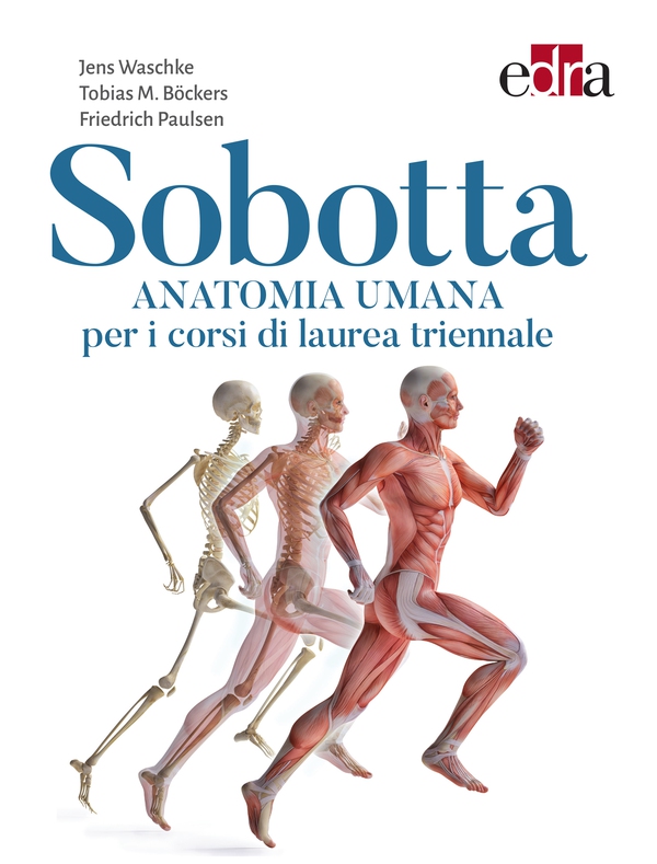 Sobotta Anatomia Umana per i corsi di laurea triennale - Librerie.coop Sobotta Anatomia Umana per i corsi di laurea triennale - Librerie.coop