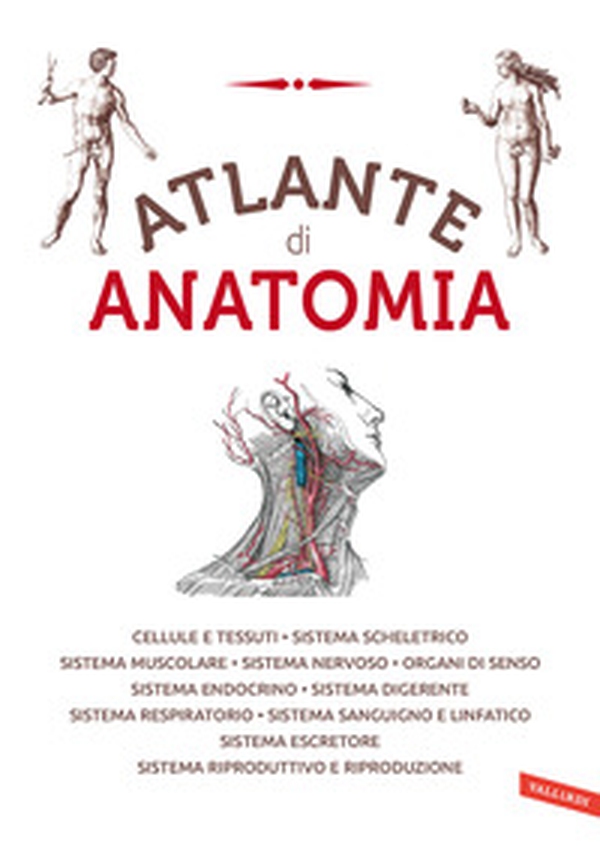 Atlante di anatomia - Librerie.coop Atlante di anatomia - Librerie.coop