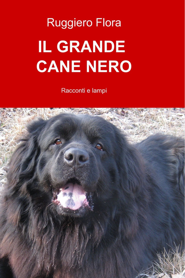 IL GRANDE CANE NERO - Librerie.coop IL GRANDE CANE NERO - Librerie.coop