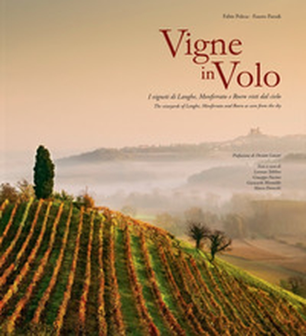 Vigne in volo. I vigneti di Langhe, Monferrato e Roero visti dal cielo. Ediz. italiana e inglese - Librerie.coop Vigne in volo. I vigneti di Langhe, Monferrato e Roero visti dal cielo. Ediz. italiana e inglese - Librerie.coop