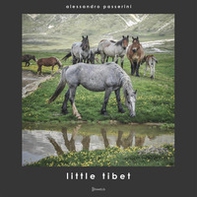 Little Tibet - Librerie.coop