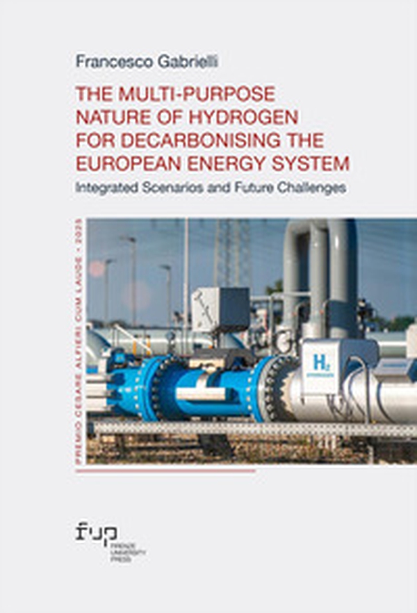 The multi-purpose nature of hydrogen for decarbonising the European energy system. Integrated scenarios and future challenges - Librerie.coop