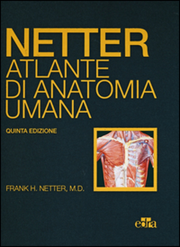 Netter. Atlante di anatomia umana - Librerie.coop Netter. Atlante di anatomia umana - Librerie.coop