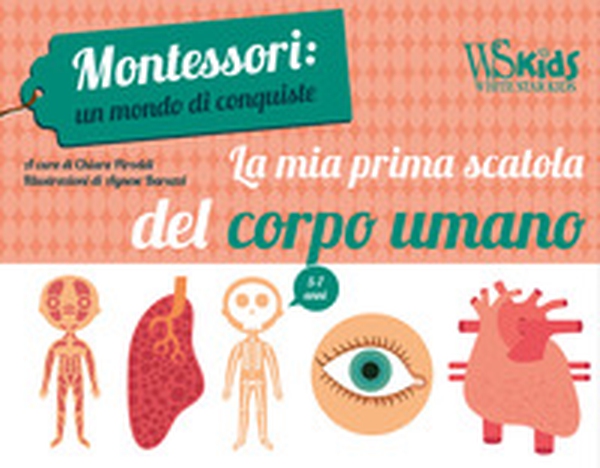 La mia prima scatola del corpo umano. Montessori: un mondo di conquiste - Librerie.coop La mia prima scatola del corpo umano. Montessori: un mondo di conquiste - Librerie.coop