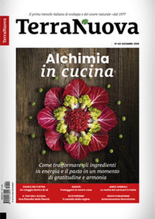 Terra Nuova - Vol. 11 - Librerie.coop