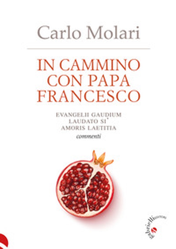 In cammino con papa Francesco. Evangelii Gaudium, Laudato si', Amoris laetitia. Commenti - Librerie.coop In cammino con papa Francesco. Evangelii Gaudium, Laudato si', Amoris laetitia. Commenti - Librerie.coop