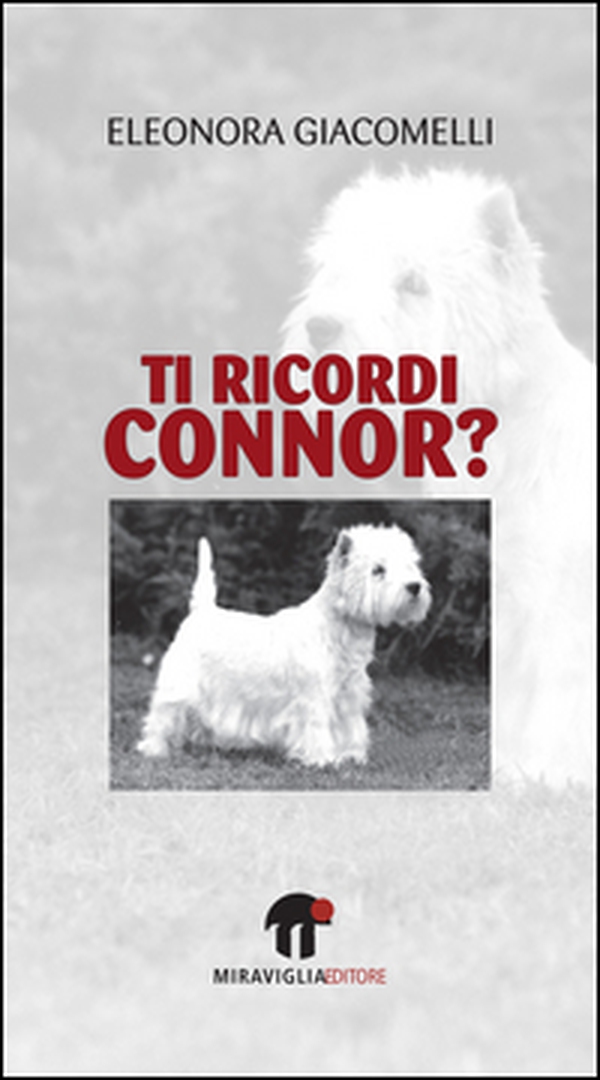 Ti ricordi Connor? - Librerie.coop Ti ricordi Connor? - Librerie.coop