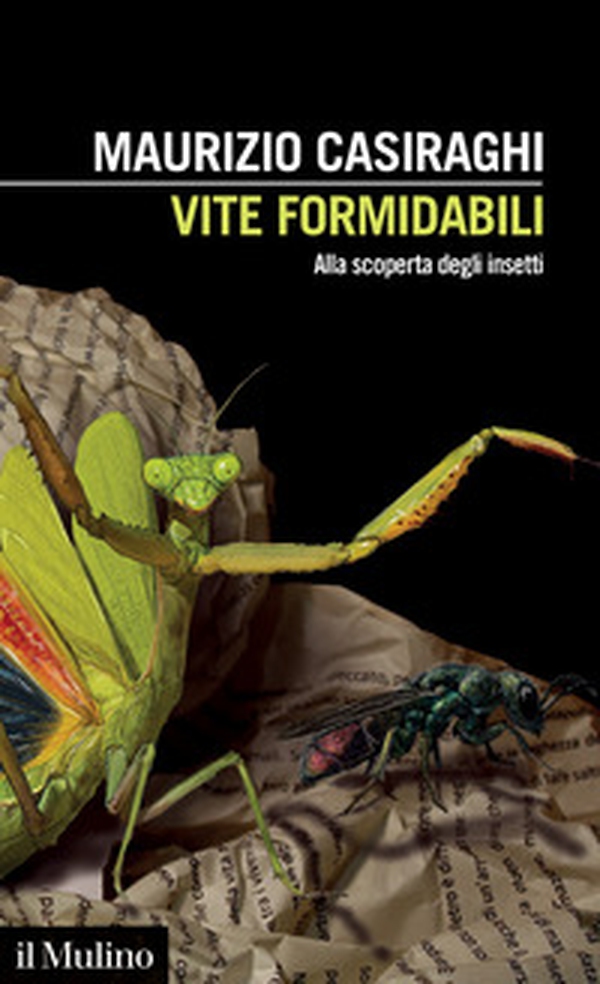 Vite formidabili. Alla scoperta degli insetti - Librerie.coop Vite formidabili. Alla scoperta degli insetti - Librerie.coop