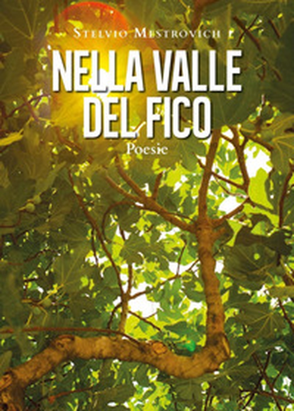 Nella Valle del Fico - Librerie.coop Nella Valle del Fico - Librerie.coop