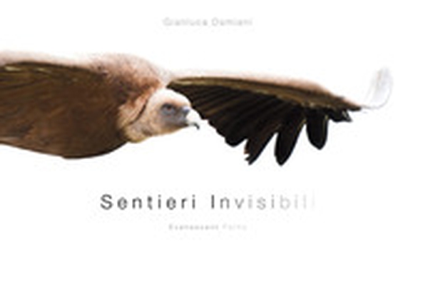 Sentieri invisibili-Evanescent paths - Librerie.coop Sentieri invisibili-Evanescent paths - Librerie.coop