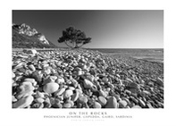 On the rocks phoenician juniper, Lispedda , Gairo, Sardinia - Librerie.coop