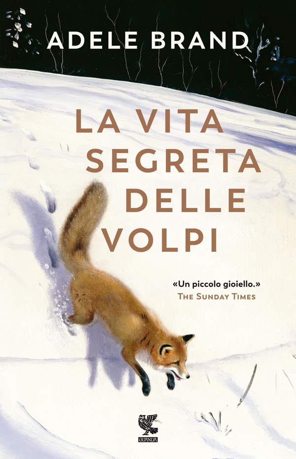 La vita segreta delle volpi - Librerie.coop La vita segreta delle volpi - Librerie.coop