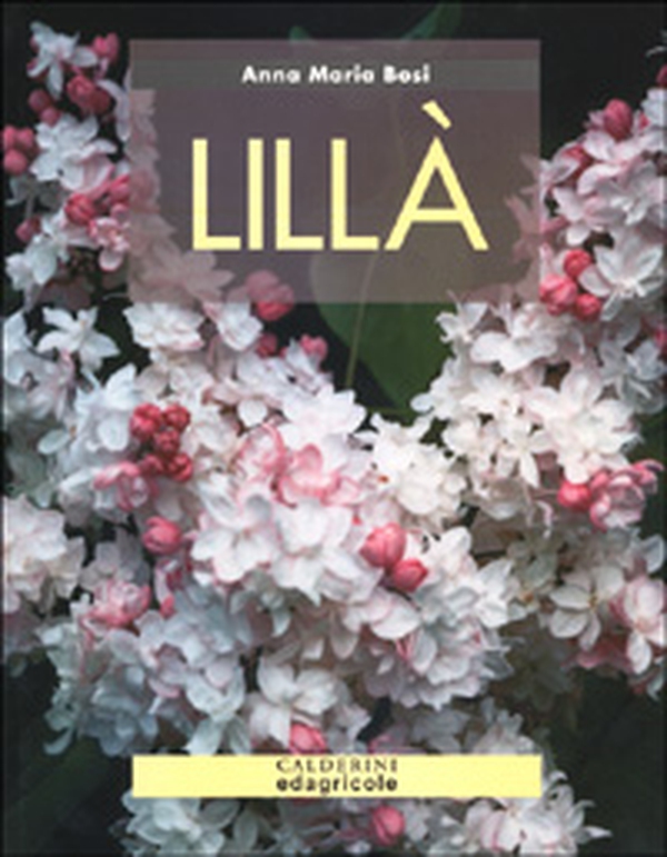 Lillà - Librerie.coop Lillà - Librerie.coop
