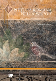Pittura romana nella Regio X. Contesti e sistemi decorativi - Librerie.coop