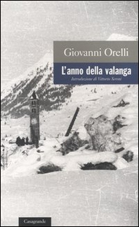 L'anno della valanga - Librerie.coop