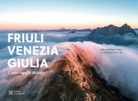 Friuli Venezia Giulia come aquila in volo - Librerie.coop