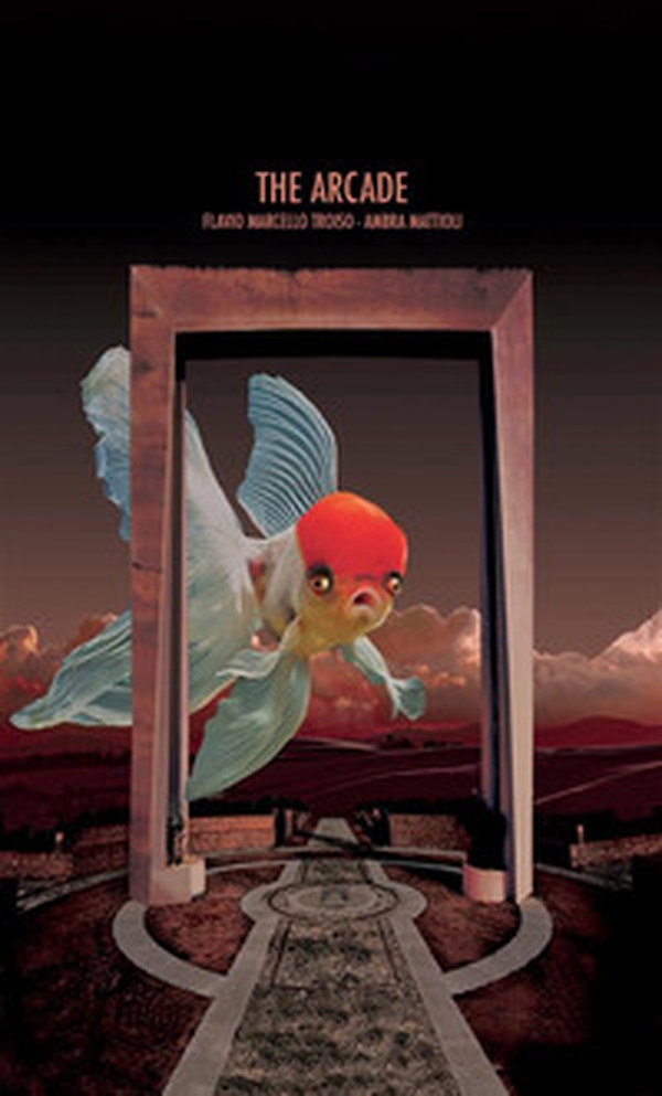 The arcade - Librerie.coop The arcade - Librerie.coop
