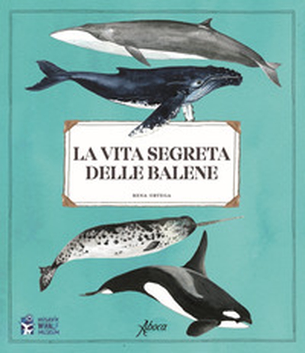 La vita segreta delle balene - Librerie.coop La vita segreta delle balene - Librerie.coop