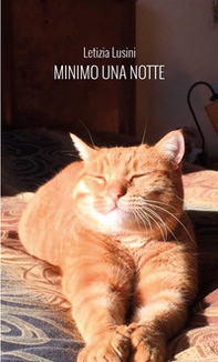 Minimo una notte - Librerie.coop Minimo una notte - Librerie.coop