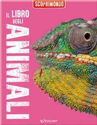 Il libro degli animali. Scoprimondo - Librerie.coop