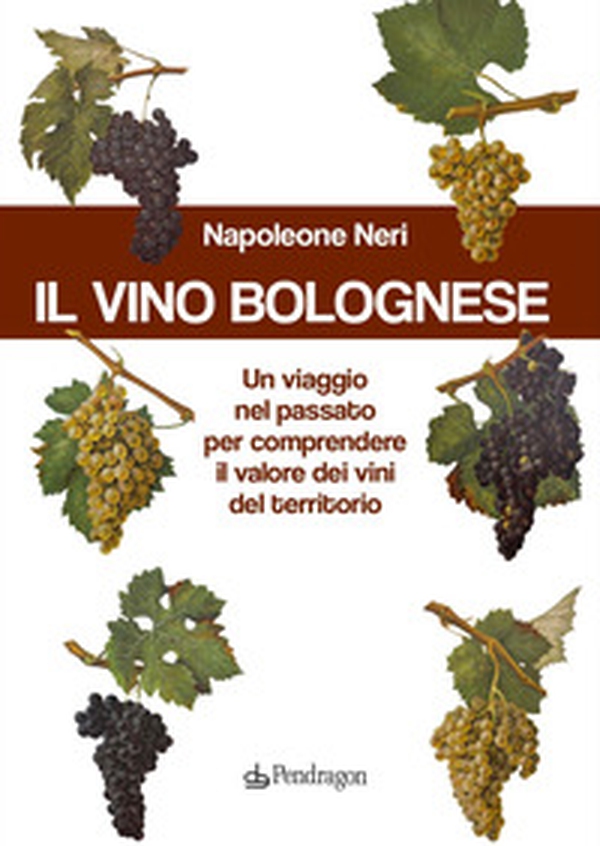 Il vino bolognese. Un viaggio nel passato per comprendere il valore dei vini del territorio - Librerie.coop Il vino bolognese. Un viaggio nel passato per comprendere il valore dei vini del territorio - Librerie.coop