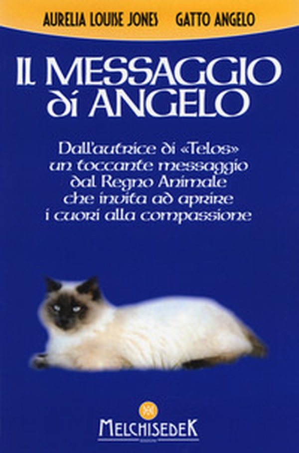 Il messaggio di Angelo - Librerie.coop Il messaggio di Angelo - Librerie.coop