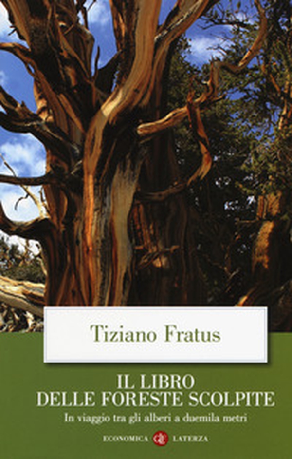 Il libro delle foreste scolpite. In viaggio tra gli alberi a duemila metri - Librerie.coop Il libro delle foreste scolpite. In viaggio tra gli alberi a duemila metri - Librerie.coop