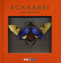 Scarabei. Libro pop-up - Librerie.coop
