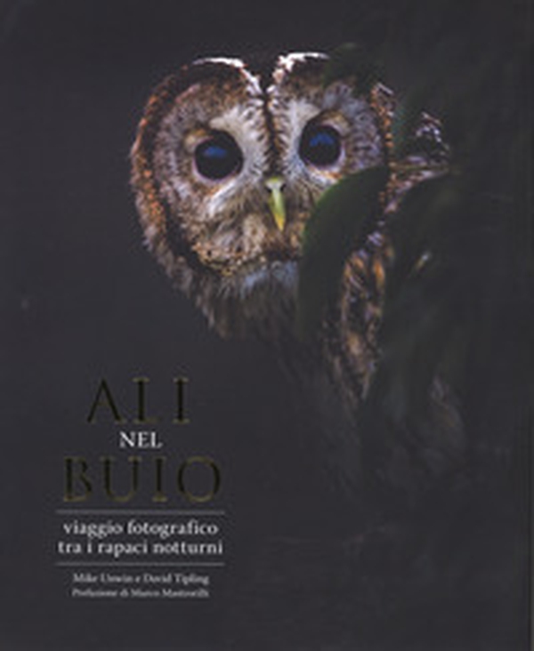 Ali nel buio. Viaggio fotografico tra i rapaci notturni - Librerie.coop Ali nel buio. Viaggio fotografico tra i rapaci notturni - Librerie.coop