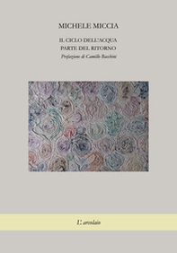 Il ciclo dell'acqua. Parte del ritorno - Librerie.coop