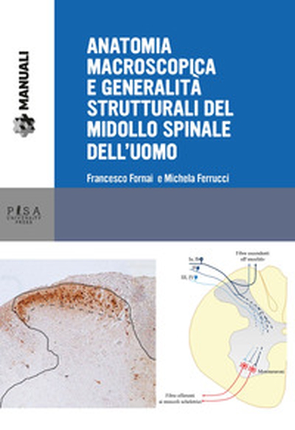 Anatomia macroscopica e generalità strutturali del midollo spinale dell'uomo - Librerie.coop