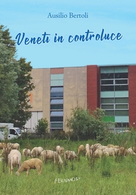 Veneti in controluce - Librerie.coop