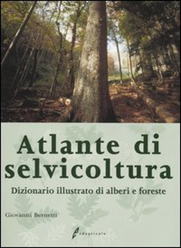 Atlante di selvicoltura. Dizionario illustrato di alberi e foreste - Librerie.coop Atlante di selvicoltura. Dizionario illustrato di alberi e foreste - Librerie.coop