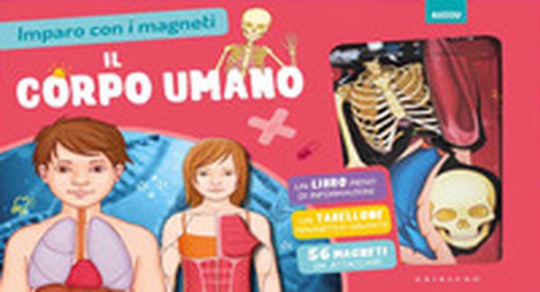 Il corpo umano. Imparo con i magneti - Librerie.coop Il corpo umano. Imparo con i magneti - Librerie.coop