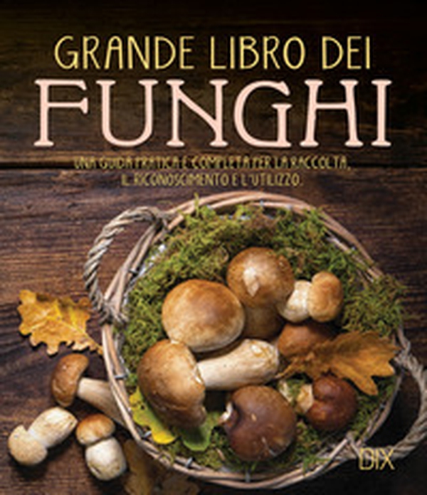 Grande libro dei funghi. Una guida pratica e completa per la raccolta, il riconoscimento e l'utilizzo - Librerie.coop Grande libro dei funghi. Una guida pratica e completa per la raccolta, il riconoscimento e l'utilizzo - Librerie.coop