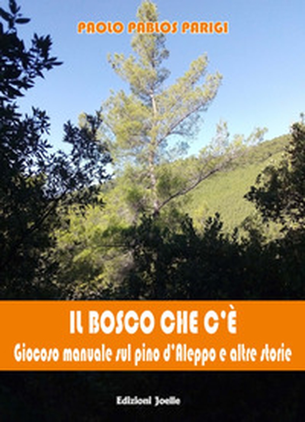 Il bosco che c'è. Giocoso manuale in tre racconti - Librerie.coop Il bosco che c'è. Giocoso manuale in tre racconti - Librerie.coop