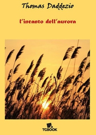 L'incanto dell'aurora - Librerie.coop