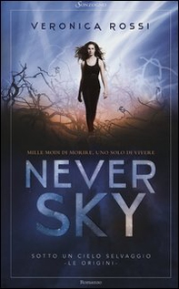 Never sky. Sotto un cielo selvaggio - Librerie.coop