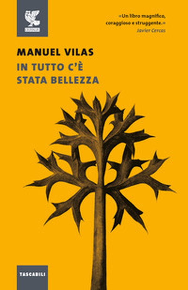 In tutto c'è stata bellezza - Librerie.coop In tutto c'è stata bellezza - Librerie.coop