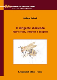 Il dirigente d'azienda. Figure sociali, fattispecie e disciplina - Librerie.coop