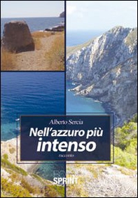 Nell'azzurro più intenso - Librerie.coop