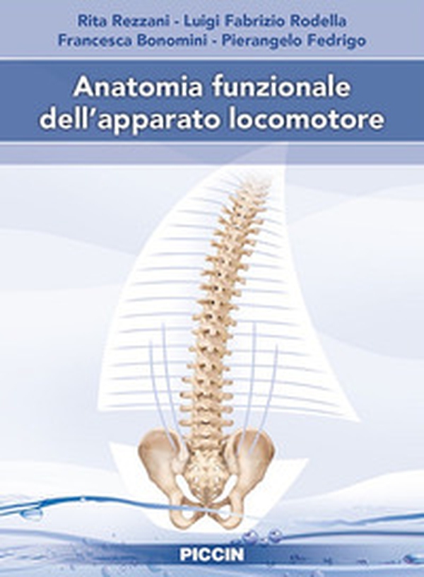 Anatomia funzionale dell'apparato locomotore - Librerie.coop Anatomia funzionale dell'apparato locomotore - Librerie.coop