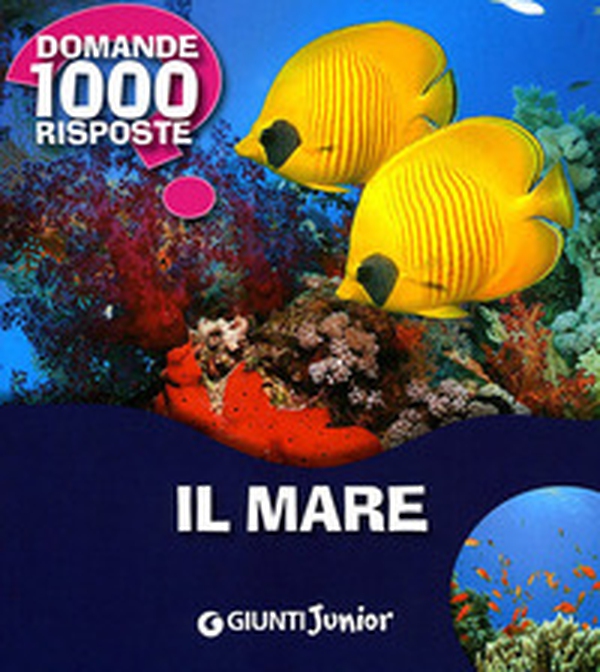 Il mare - Librerie.coop Il mare - Librerie.coop