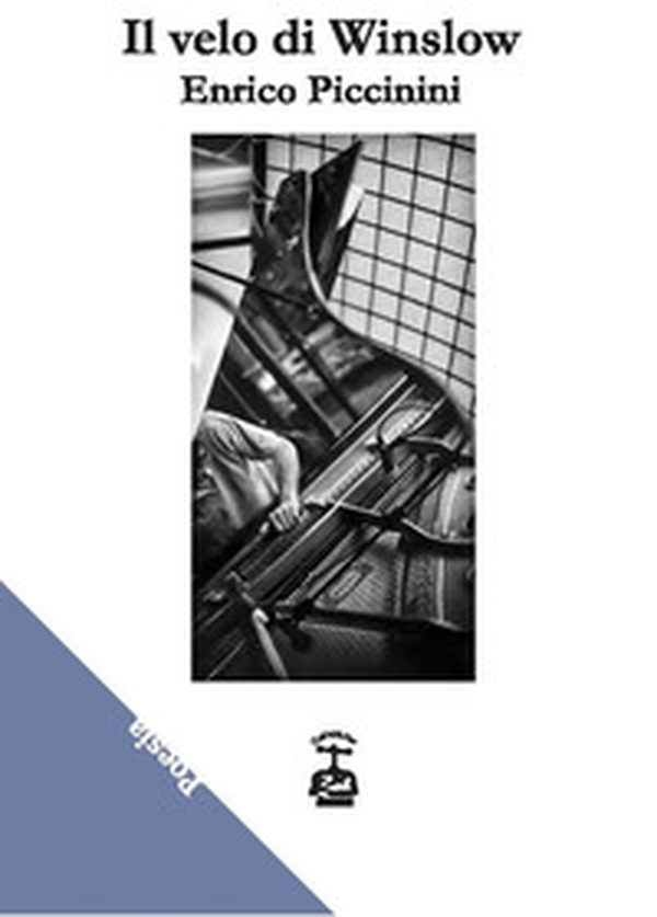 Il velo di Winslow - Librerie.coop Il velo di Winslow - Librerie.coop