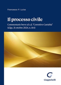 Il processo civile - Librerie.coop