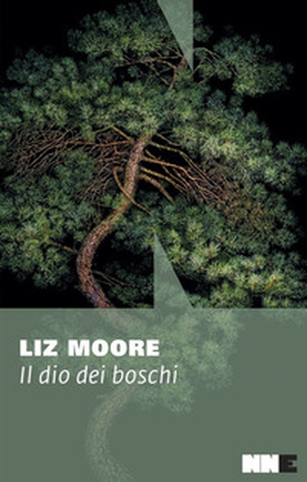 Il dio dei boschi - Librerie.coop Il dio dei boschi - Librerie.coop