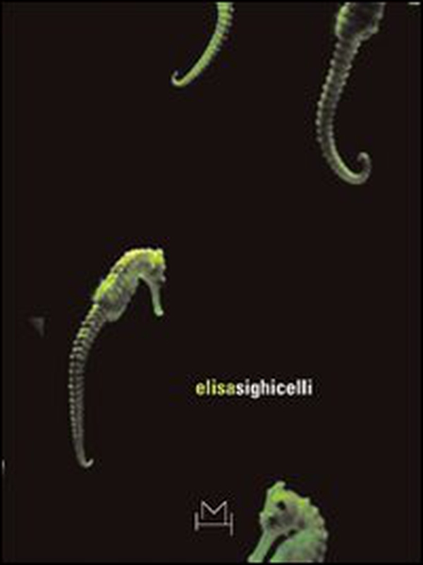Elisa Sighicelli. Ediz. italiana e inglese - Librerie.coop Elisa Sighicelli. Ediz. italiana e inglese - Librerie.coop